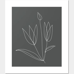 tulip flower bunch line art Posters and Art